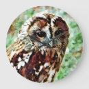 Buscar owl relojes de pared Adorable