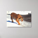 Buscar tigre siberiano lienzos Horizontal