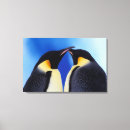 Buscar pingüino lindo lienzos Fauna
