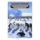 Buscar antártico libretas Azul