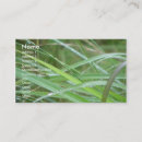 Buscar humedal tarjetas de visita Naturaleza