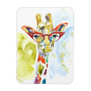 Buscar gafas imanes Animal