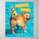 Buscar corgi lindo posters Cachorro
