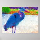 Buscar extracto posters Animal