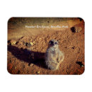 Buscar parque zoológico fotografía Animales
