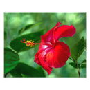 Buscar corea del sur posters Vibrante