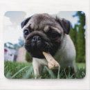 Buscar foto alfombrillas de raton Instagram