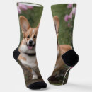 Buscar corgi calcetines Animal