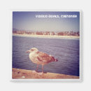 Buscar gaviotas imanes Sol