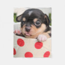 Buscar chihuahua mantas cobertores Adorable