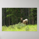 Buscar banff posters Naturaleza