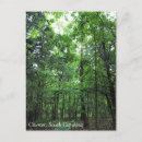 Buscar bosques postales Rural