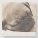 Buscar barro amasado posavasos Animales del bebé