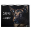 Buscar perro de pastor alemán calendarios Cachorro