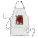 Buscar claveles delantales Flores