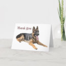 Buscar gsd tarjetas Cachorro