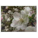 Buscar manzanas tablas cortar Primavera