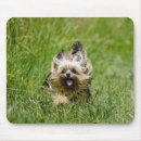 Buscar yorkshire alfombrillas de raton Cachorro