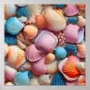 Buscar seashells arte Conchas