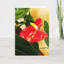 Buscar planta fotograficas tarjetas Para ella