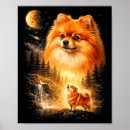 Buscar pomerania posters Pomerania aullando a