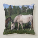 Buscar potro cojines Caballo