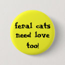 Buscar gatos chapas Amor