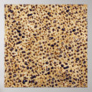 Buscar seder posters Matzah