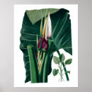 Buscar placa posters Verde