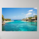 Buscar del caribe posters Palmeras
