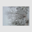 Buscar maravilla papel de seda General y unisex