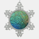 Buscar pavo real adornos Naturaleza