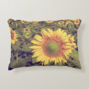 Buscar filtro cojines Fondo