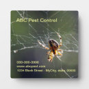 Buscar araña placas fotograbadas Web