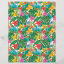 Buscar del colorfull General y unisex