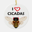 Buscar insectos adornos Cigarras