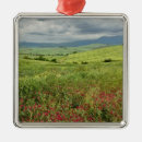 Buscar ladrillo adornos Rojo