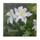 Buscar colorado azulejos Naturaleza