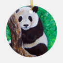 Buscar oso panda lindo adornos Verde