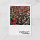 Buscar rosas rojas tarjetas de visita Moderno