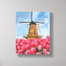 Buscar holanda lienzos Tulipán