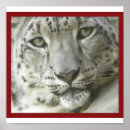 Buscar snow leopard arte Leopardo de las nieves