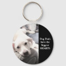 Buscar perros lindos llaveros Para él