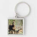 Buscar familia de caballos llaveros Animal