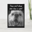Buscar perro triste tarjetas Mejórate