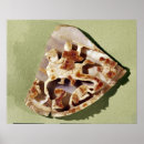 Buscar 04th posters Riding