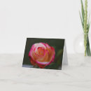 Buscar deleite tarjetas Rosa