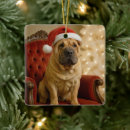 Buscar shar pei adornos Lindo
