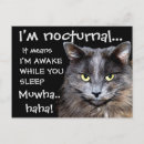 Buscar cats postales Humor