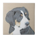 Buscar bern azulejos Perro